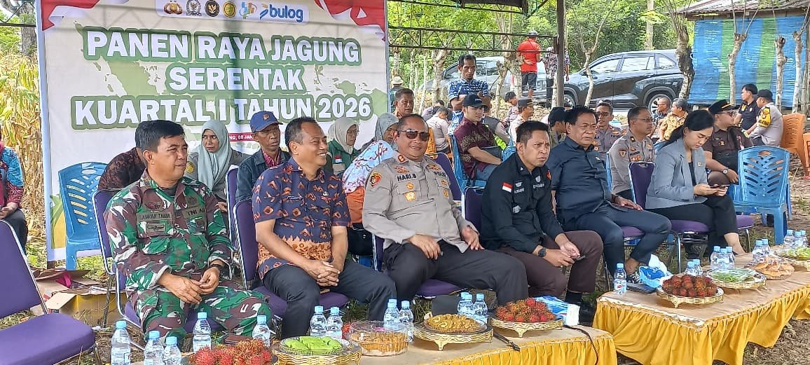 Polres Enrekang Ikuti Panen Raya Jagung Serentak Nasional, Kapolres Tegaskan Komitmen Dukung Swasembada Pangan 2026