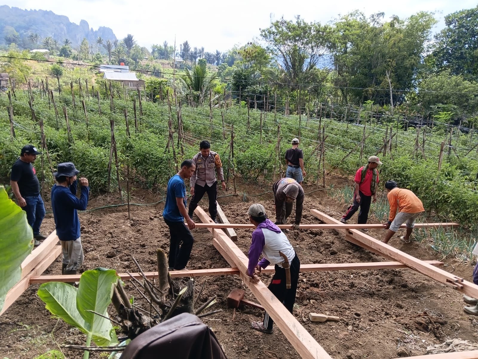 Wujud Kepedulian Polri, Bhabinkamtibmas Polsek Alla Bersama Warga Gotong Royong Bangun Rumah Layak Huni